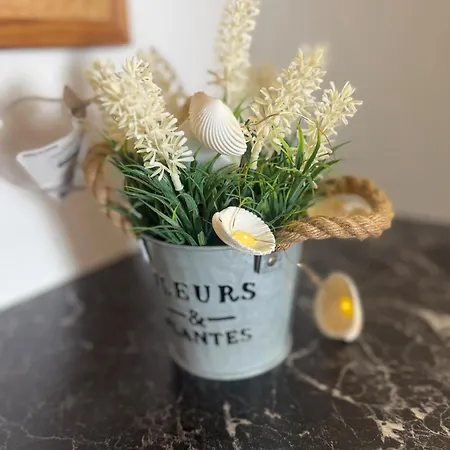 Backbord Apartman Fehmarn